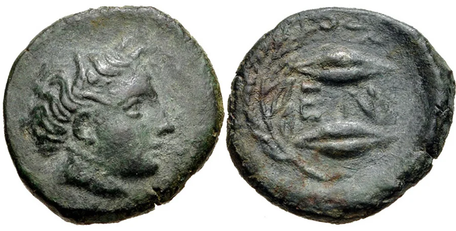 antik_sikkeler_nümizmatik_02 (5).webp