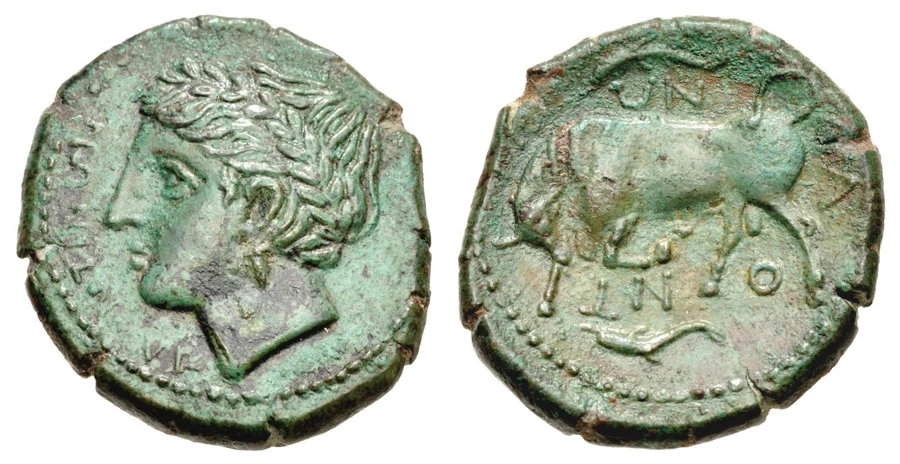 ANTİKSİKKELERNUMİZMATİK.COM (7).webp