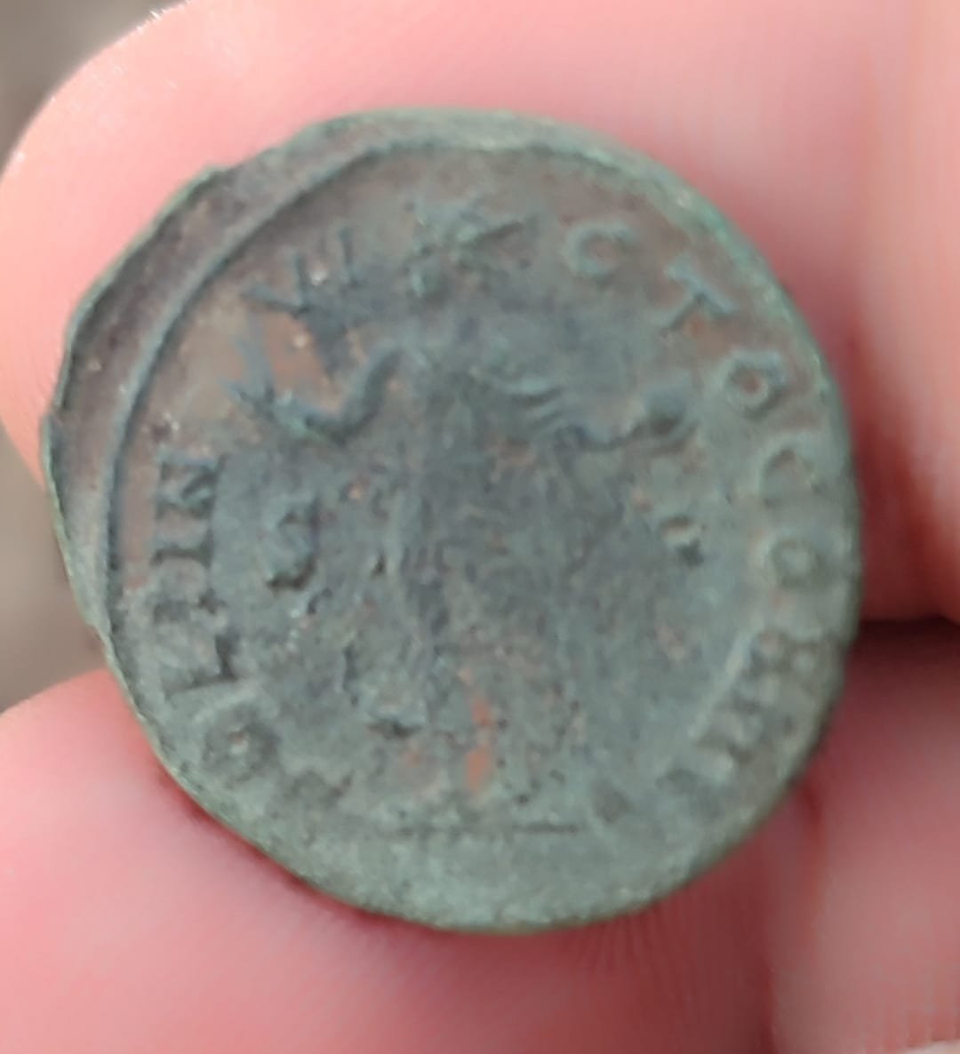 WhatsApp Image 2025-06-23 at 08.44.52.jpeg